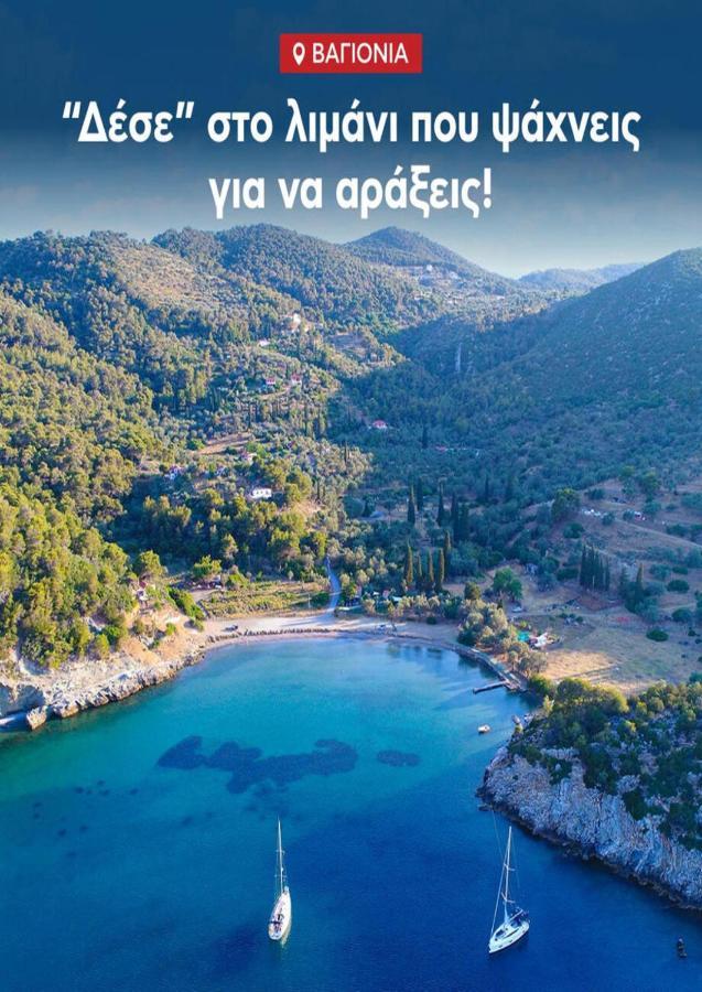 Private Beach House Irene Mare Poros Town Exterior photo